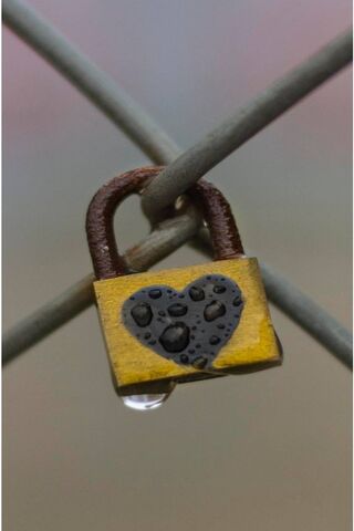 Love Locked: A Heartfelt Connection ❤️🔒