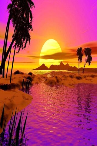 Vibrant Sunset Oasis 🌅✨