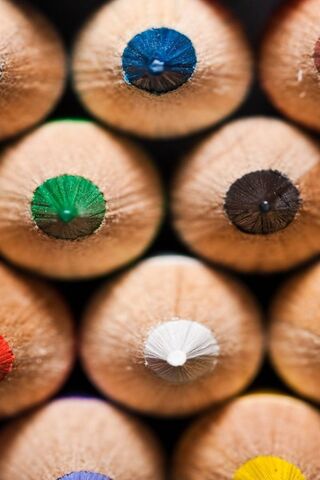 Colorful Creativity: The Ozcanates Collection 🎨