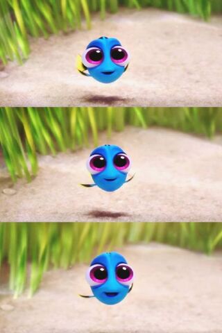 Baby Dori's Underwater Adventure! 🌊🐠