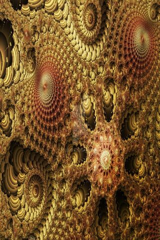 Bee Hive