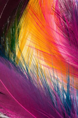 Whispers of Color: The ..