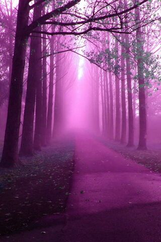 Enchanted Pathway Through the Purple Mist 🌌🌲