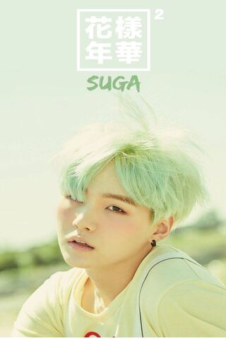 Suga: The Dreamy Vibe 🌿✨