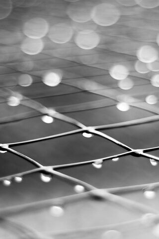 Dewy Dreams on a Silver Net 🌧️✨