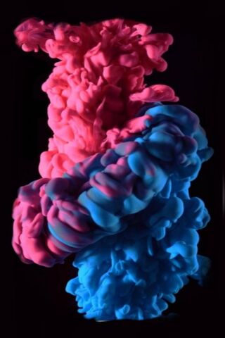 Vibrant Dance of Color: Rosu Cu Albastru