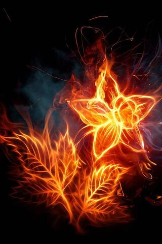 Blazing Beauty: The Fir..