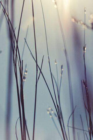 Whispers of Nature: The Serenity of Ios 7 🌾✨