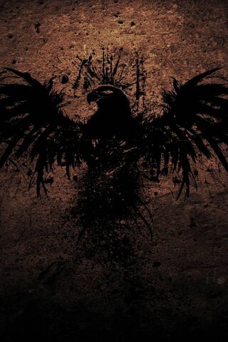 Shadow of the Black Eag..