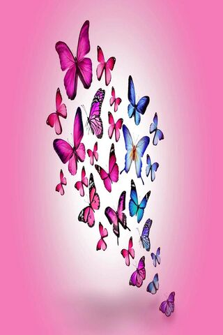Whimsical Flutter: A Da..