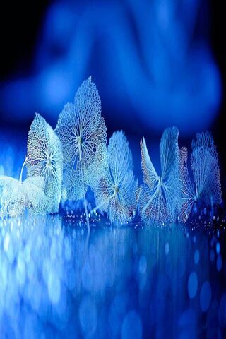 Whispers of Nature: The Art of Dry Leaves