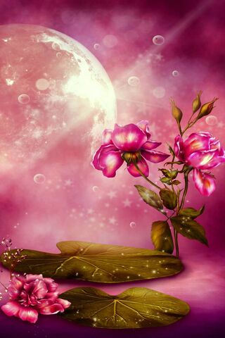 Moonlit Blossoms: A Rom..