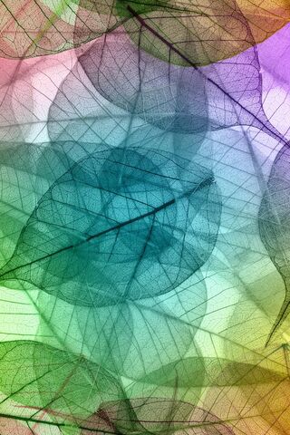 Colorful Whispers of Nature 🍃✨