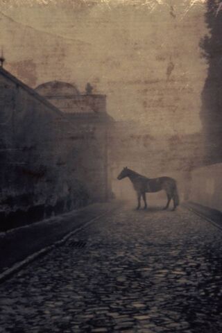 Whispers of the Past: A Horse in the Mist
