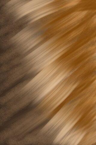Mocha