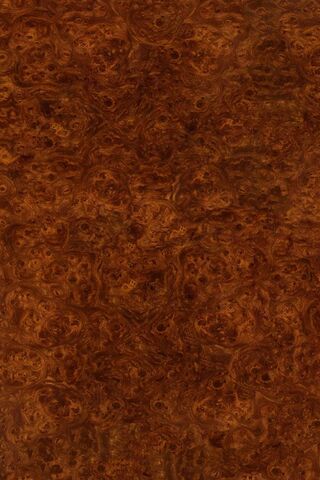 Nature's Artistry: The Beauty of Wood Burl 🌳✨