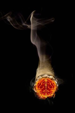 Ignite Your Imagination..
