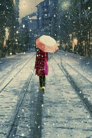 Alon: A Solitary Stroll in the Snow