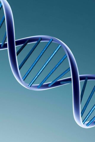 The Blueprint of Life: DNA Unraveled 🌌🧬