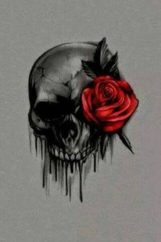 Eternal Beauty: The Skeletal Rose 🌹💀