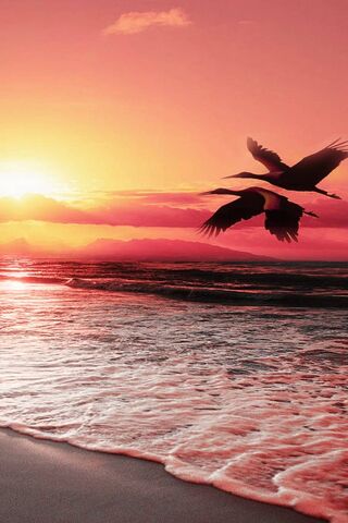 Serenity at Sea: A Suns..