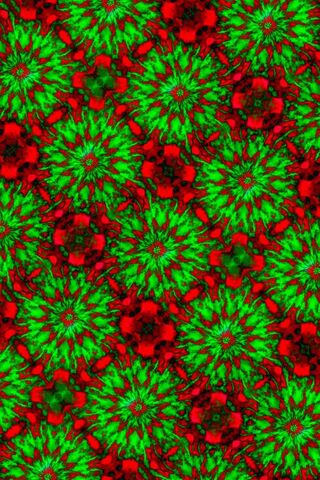 Vibrant Kaleidoscope: A Closer Look