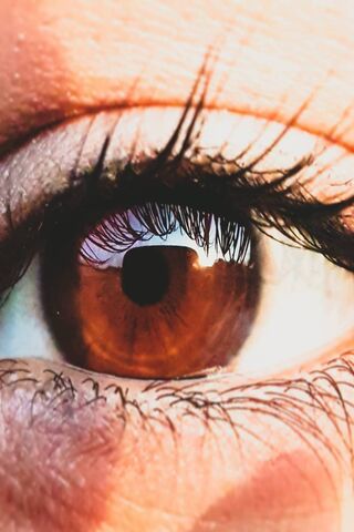 Gaze of Wonder: A Closer Look