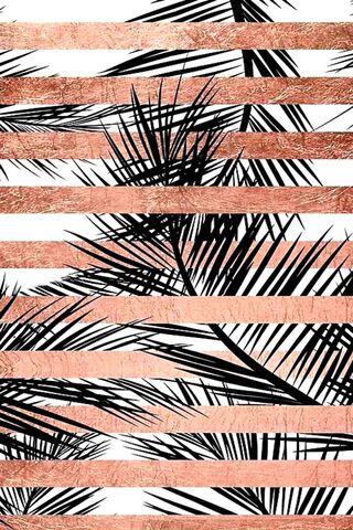 Tropical Elegance: The Palmera Vibe 🌴✨