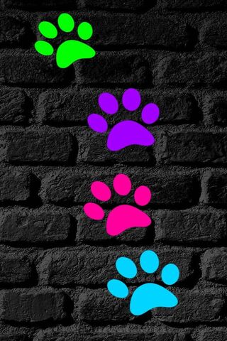 My Nena Paws