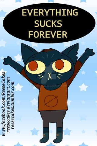 The Melancholic Cat: A Reflection on Life