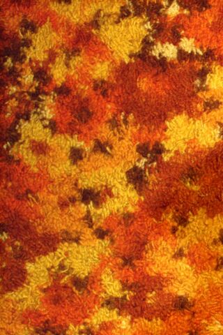 Warmth of Autumn: The Orange Carpet