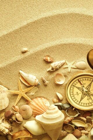 Treasures of the Timeless Shore 🌊⏳