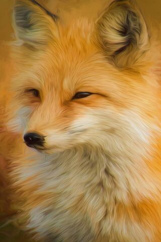 Whiskers of the Wild: The Enigmatic Hd Fox 🦊✨