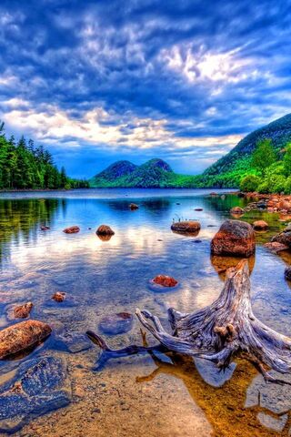 Embrace of Nature's Ser..