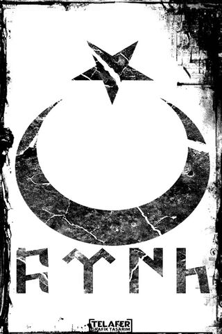 Echoes of Turk: A Symbo..