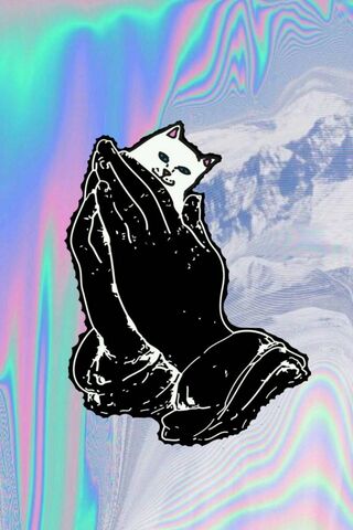 The Purrfect Blessing: Lord Nermal