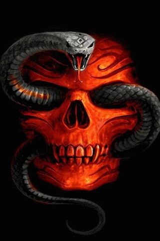 Venomous Visions: The Dance of Death