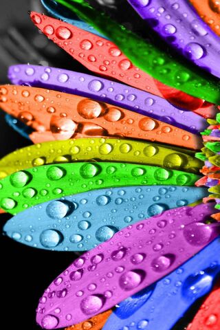 Colors