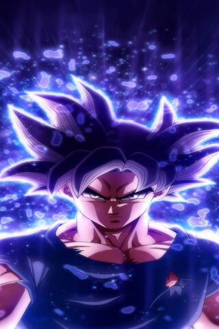 Goku: The Power Unleash..