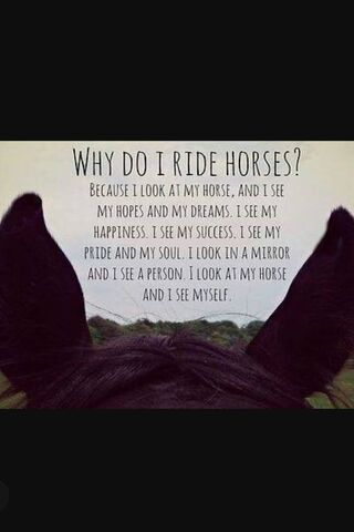 Why I Ride Horses