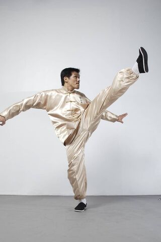 Mastering the Art of Movement: Sifu Kin Sze in Action 🥋✨