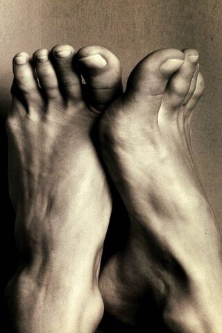 The Art of Elegance: A Study in Feet