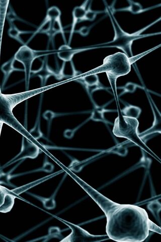 The Intricate Dance of Neurons 🧠✨