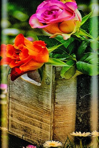 Vibrant Blooms in a Rustic Embrace 🌸🌼