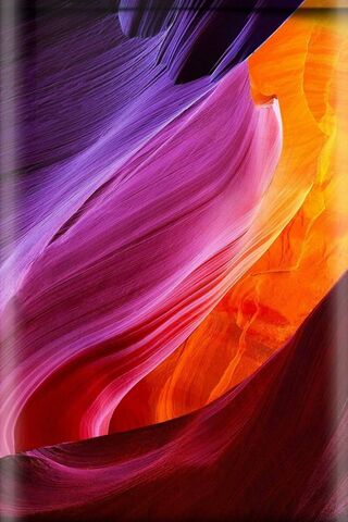 Vibrant Whispers of Nature