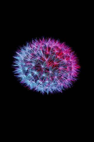 Fiore S9: A Burst of Digital Blooms 🌸✨