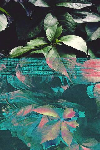 Reflections of Serenity 🌿💧