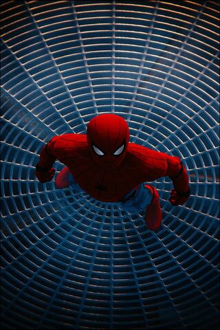 Web of Destiny 🕸️