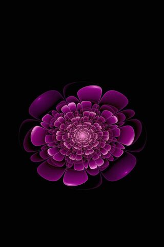 Blooming Elegance 🌸