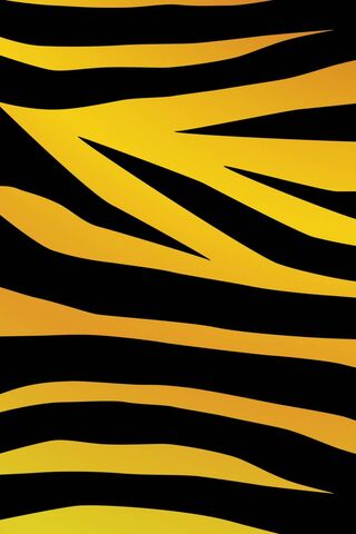 Bold Stripes of the Wild 🦓✨